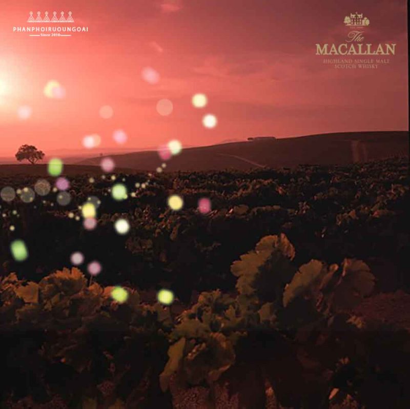 Rượu Macallan 12 Double Cask là sự cân bằng hoàn hảo giữa thùng gỗ sồi Sherry và thùng gỗ sồi Mỹ 
