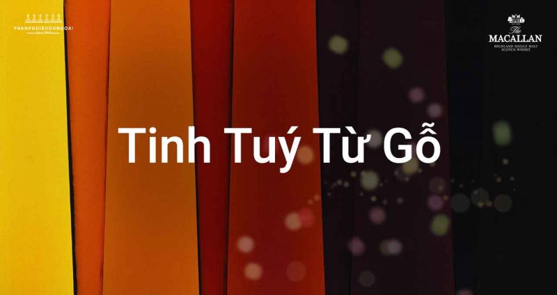Sự TInh Tuý từ gỗ Tinh tuý nhất từ gỗ sồi làm nên Rượu Macallan