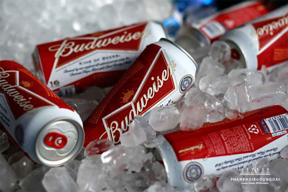 Bia Budweiser lon 330 ml ngon hơn khi uống lạnh 