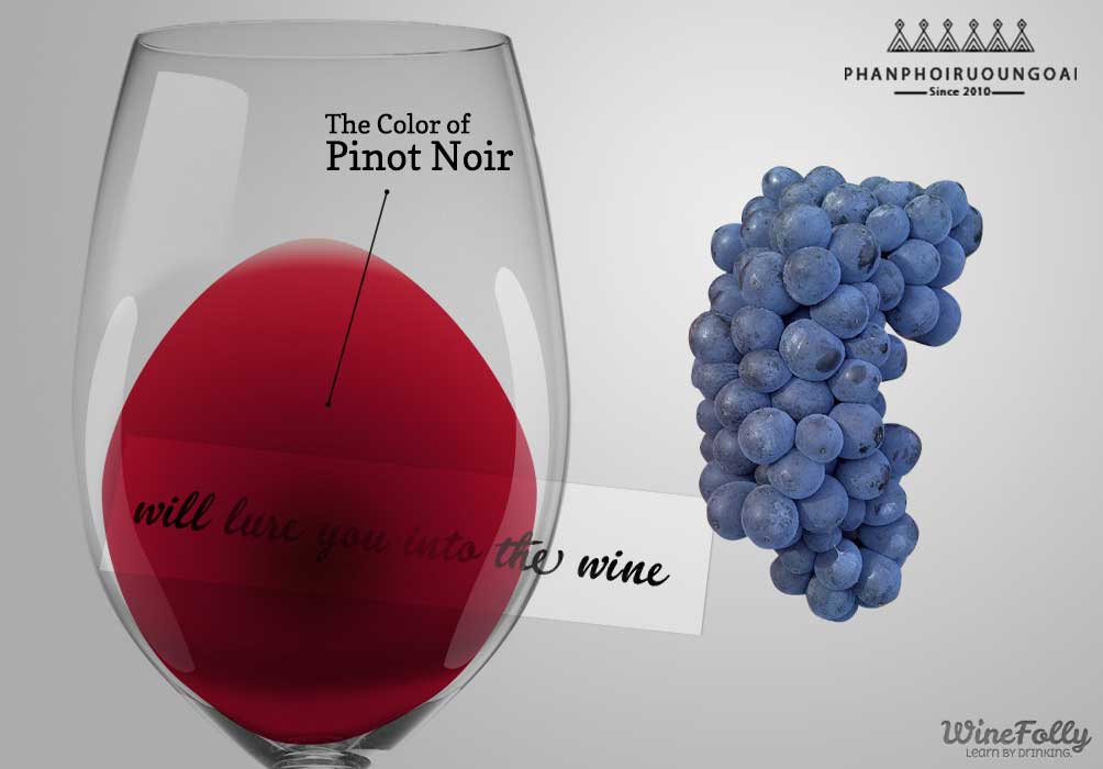 Màu của rượu sử dụng nho Pinot Noir Màu của rượu vang sử dụng giống nho Pinot Noir và nho Pinot Noir