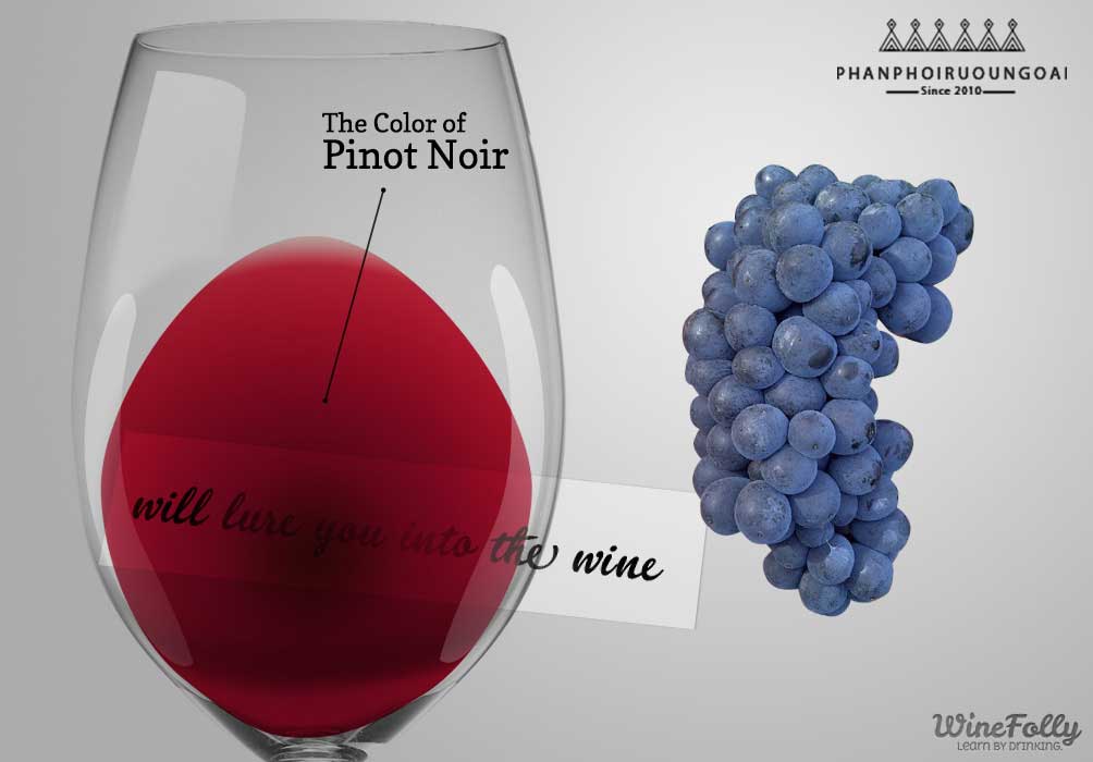 Màu của rượu vang sử dụng giống nho Pinot Noir và nho Pinot Noir 