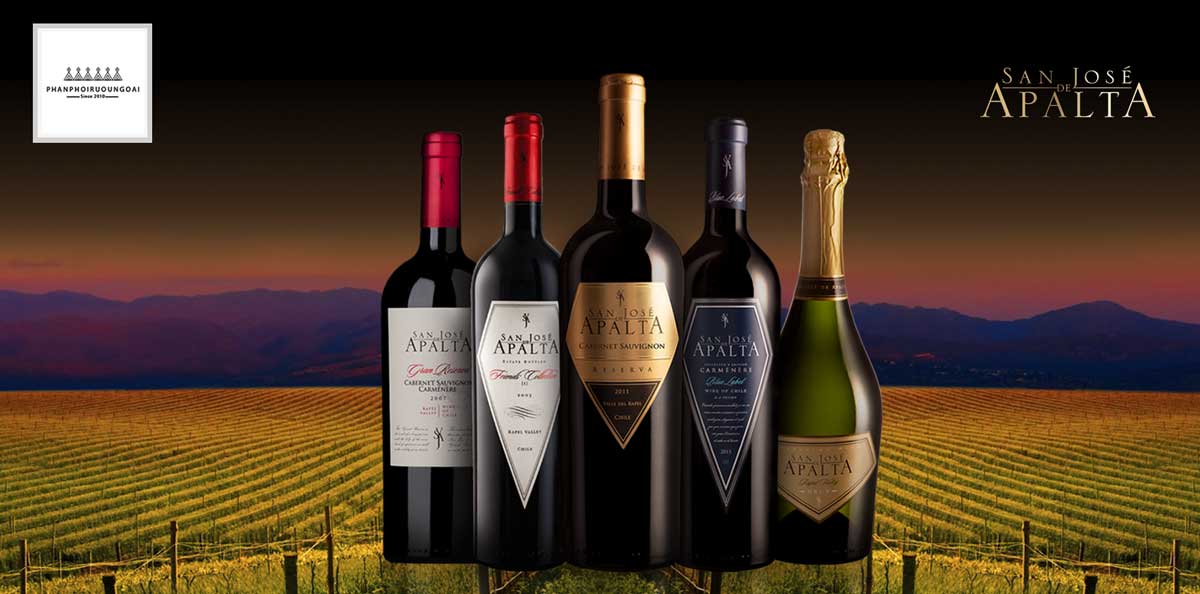 Các dòng rượu vang nổi tiếng của San Jose de Apalta