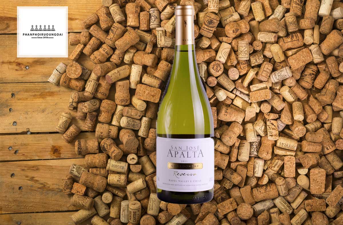 Rượu Vang San José de Apalta Reserva Chardonnay và nút chai