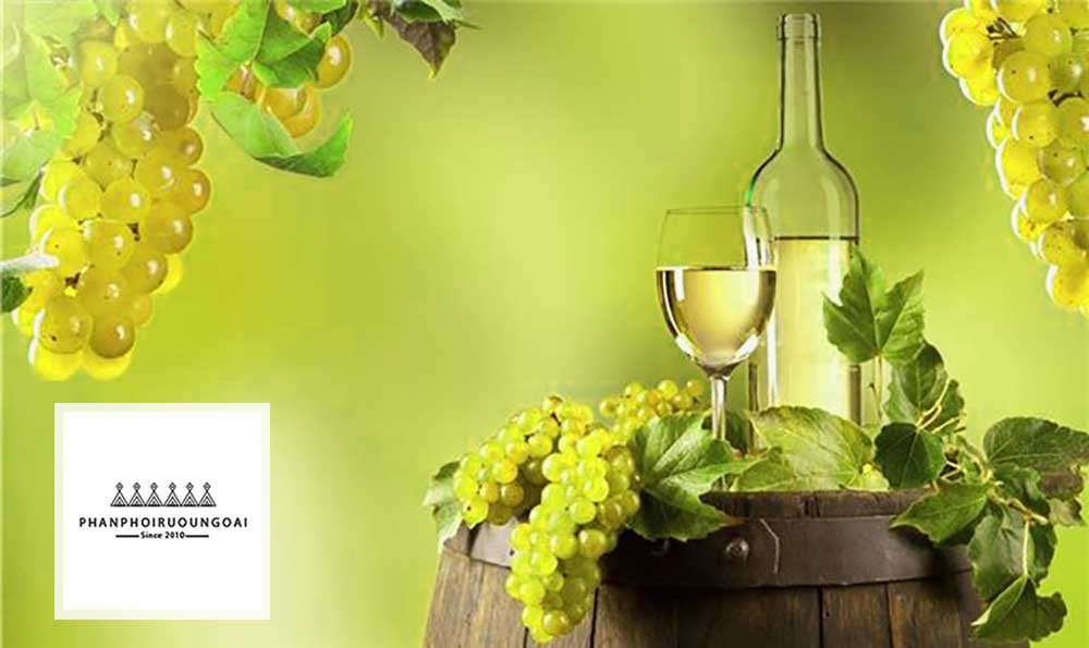 Tìm hiểu giống nho Chardonnay