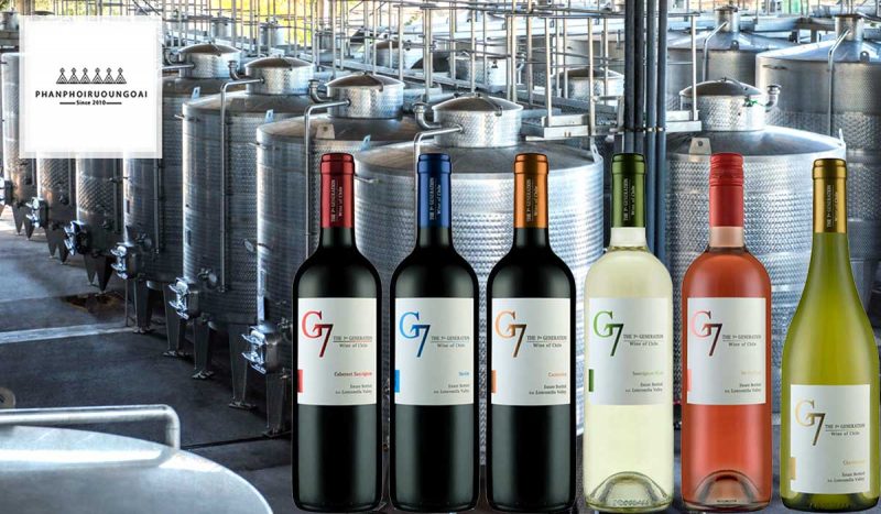 Các dòng rượu vang trẻ G7 của nhà PedRegal Các dòng rượu vang trẻ G7 của nhà PedRegal
