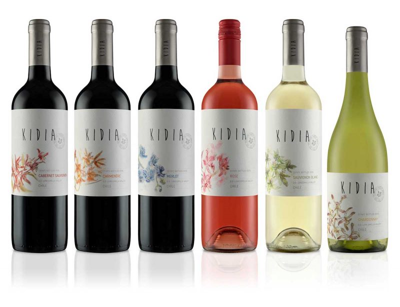 Các loại rượu vang được làm từ giống nho trẻ của Kidia của nhà Vina Del Pedregal 