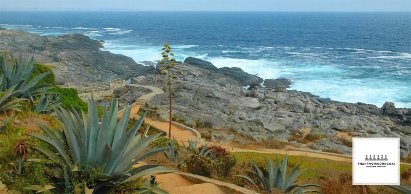 Khu vực Aconcagua tiếp giáp với biển thái bình dương Khu vực Aconcagua tiếp giáp với biển thái bình dương