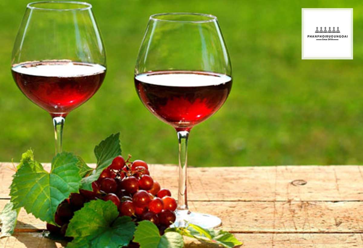 Tác dụng tốt của rượu vang với sức khoẻ 