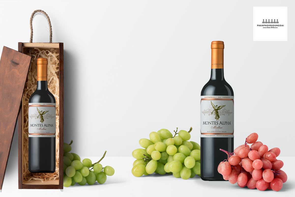 Rượu vang Montes Alpha Malbec và hộp quà
