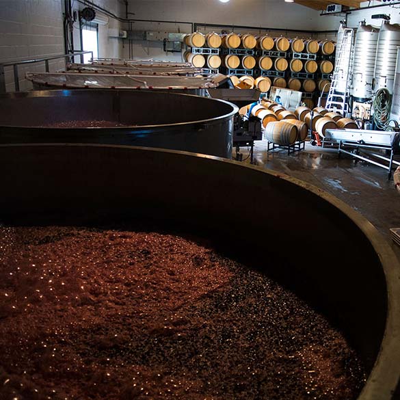 Hầm ủ rượu vang Ý của nhà Monteverdi 