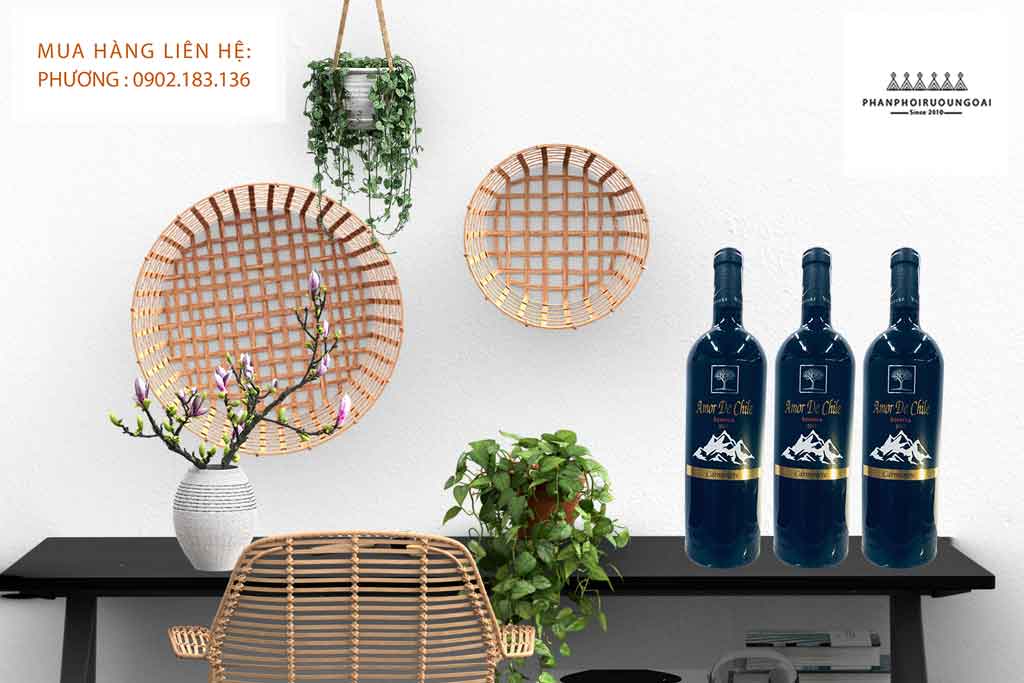 Rượu Vang Amor de Chile Reserva Carmenere