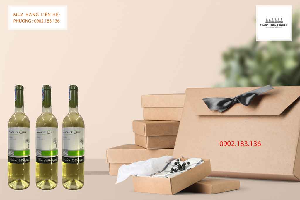 Rượu vang trắng Chile Amor de Chile Sauvingon Blanc thiết kế hiện đại 2020 