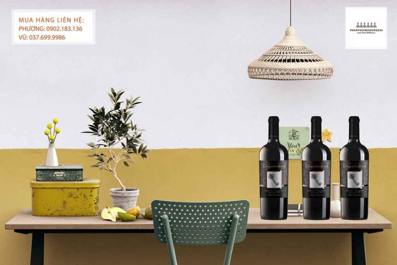 Rượu Vang Chile Descubridores Gran Reserva Cabernet Sauvignon Ảnh Rượu Vang Chile Descubridores Gran Reserva Cabernet Sauvignon