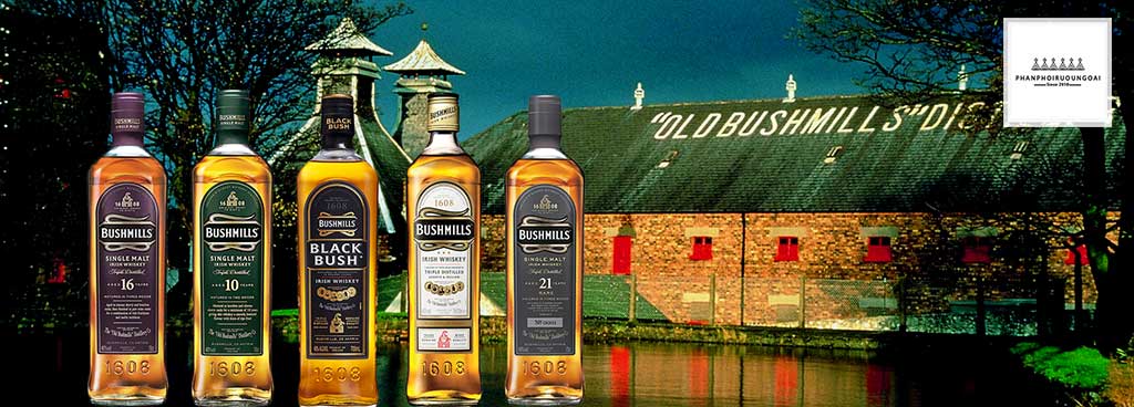 Các loại rượu Bushmills cung cấp bởi Rượu Song Long 