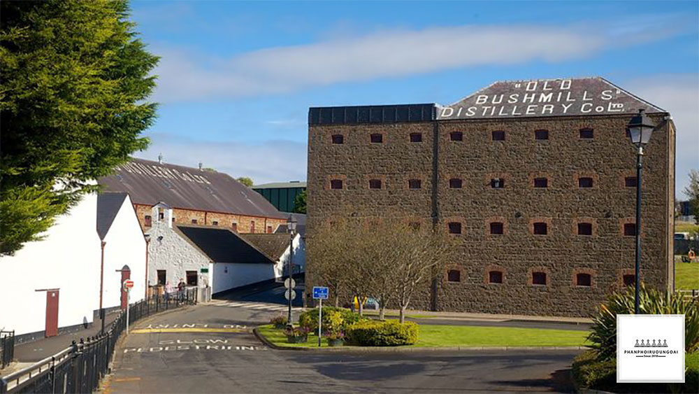 Nhà máy sản xuất rượu Whisky Bushmills 