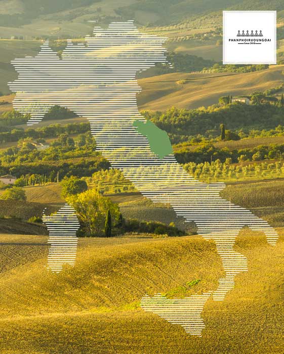 Vườn nho của gia đình Rocca dei Forti tại Marche Vườn nho của gia đình Rocca dei Forti tại Marche