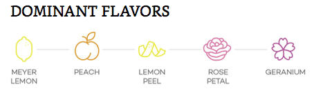 Hương vị chính của giống nho rượu Torrontes Hương vị chính của giống nho rượu Torrontes