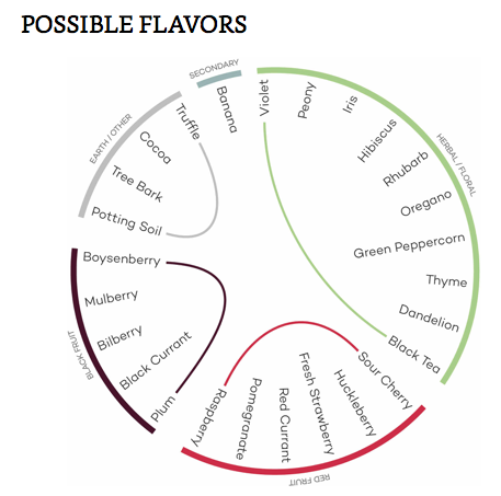 Hương vị rượu vang từ nho Gamay Hương vị có thể có của giống nho Gamay