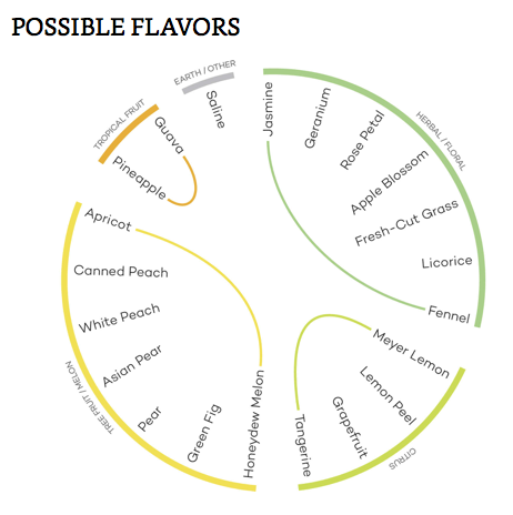 Hương vị có thể có của giống nho rượu Torrontes Hương vị có thể có của giống nho rượu Torrontes