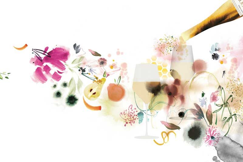 Hương vị rượu vang trắng Aromatic White Wine 