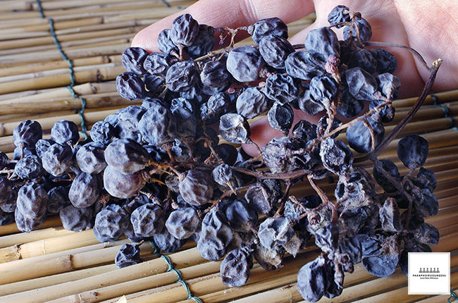 Nho khô làm rượu vang Valpolicella Blend Nho khô làm rượu vang Valpolicella Blend