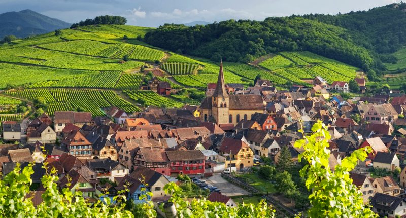 Những khu làng về rượu vang tại Alsace 