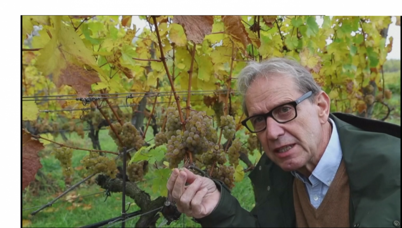 Ông Willi Bruendlmayer một nhà sản xuất rượu vang tại Áo 
