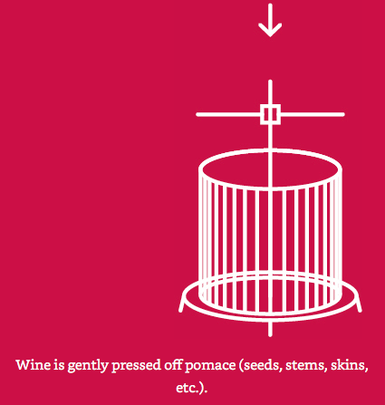 Rượu vang được ép nhẹ nhàng để loại bỏ phần bã rượu