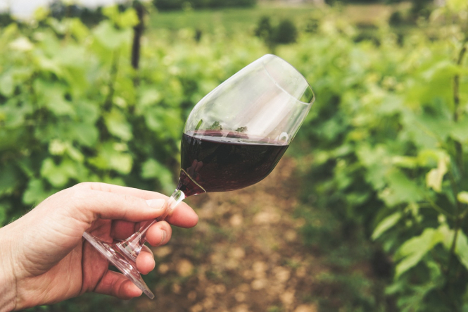 Rượu vang Pháp có tác dụng tốt cho sức khoẻ 