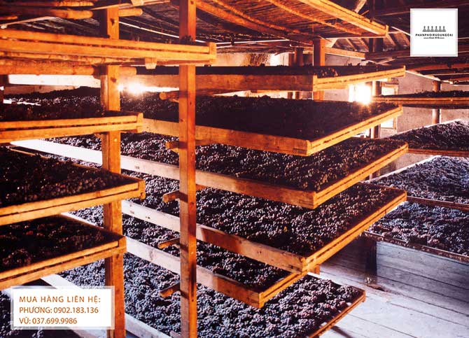 Rượu vang làm theo phong cách Apassimento Rượu vang làm theo phong cách Apassimento