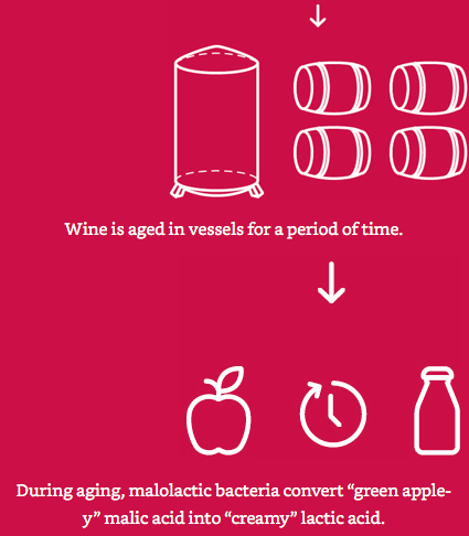 Rượu vang được lão hoá trong thùng trong chu kỳ thời gian