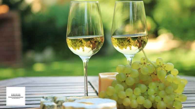 Rượu vang trắng Full-Bodied White Wine