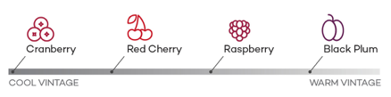 Thời tiết ảnh hưởng đến hương vị rượu vang Pinot Noir 
