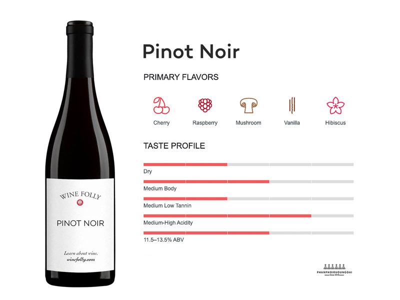 Thông tin cơ bản về giống nho rượu Pinot Noir 
