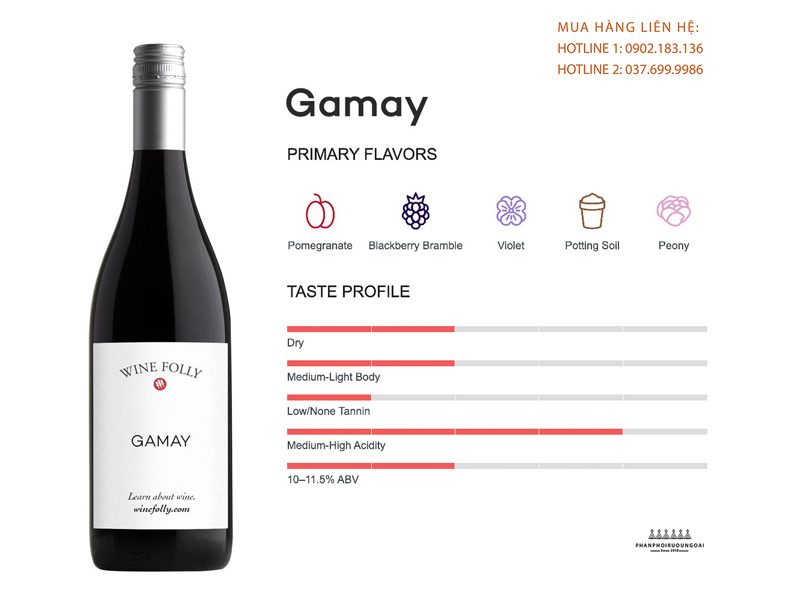 Thông tin cơ bản về giống nho rượu Gamay Thông tin cơ bản về giống nho rượu Gamay