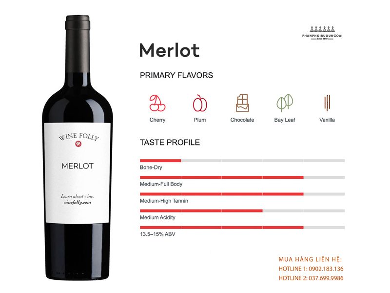 Thông tin giống nho rượu Merlot 