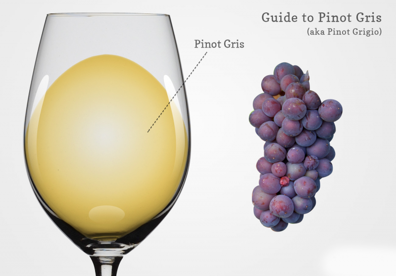 Thông tin về nho rượu Pinot Gris 