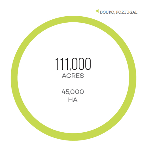 Diện tích đất sử dụng để làm rượu Port Diện tích đất sử dụng để làm rượu Port