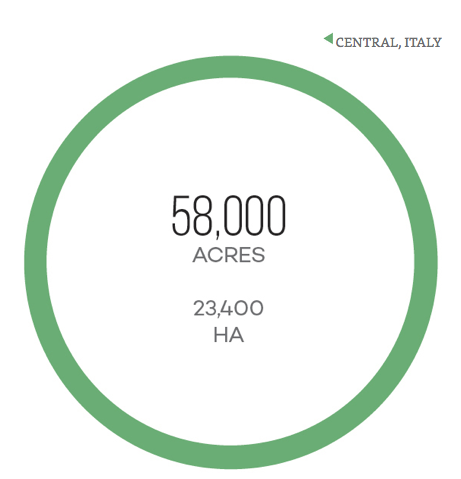 Diện tích đất trồng nho làm rượu vang Vin Santo