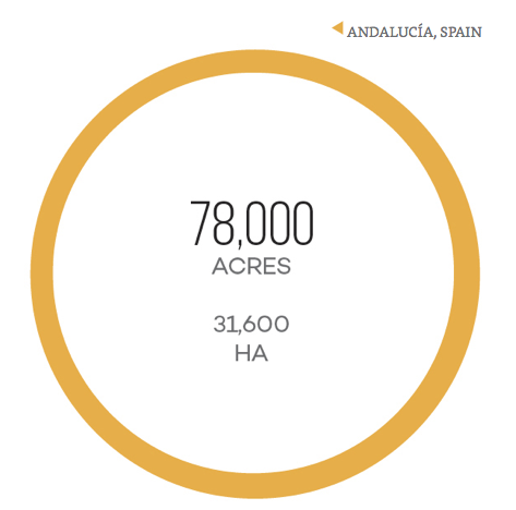 Diện tích đất trồng nho làm rượu Sherry