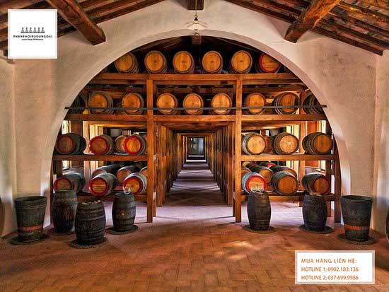Hầm rượu để lão hoá rượu vang tại Tuscany, Italy Hầm rượu để lão hoá rượu vang tại Tuscany, Italy