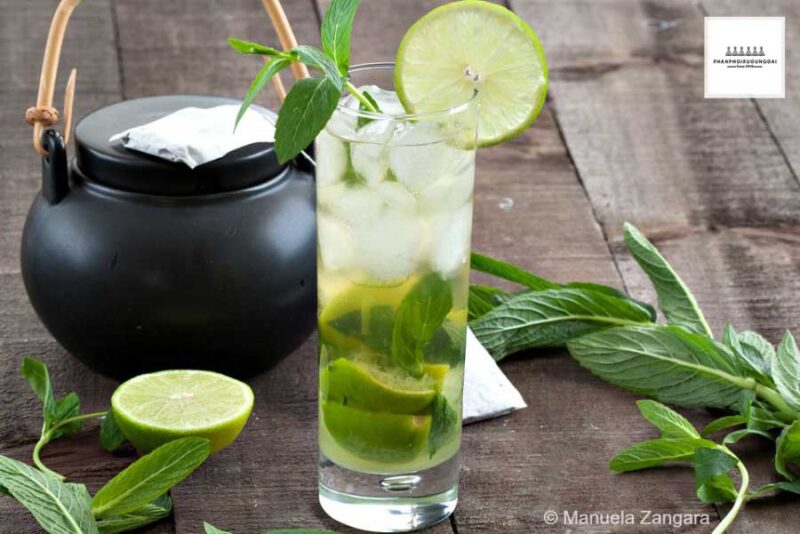 Ly Cocktail tuyệt hảo với rượu Bols Green Tea 