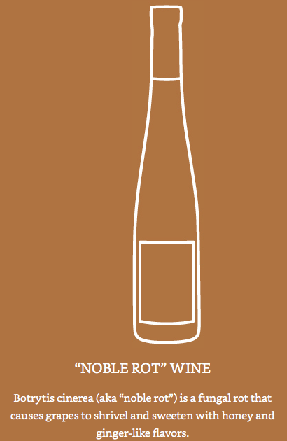Rượu vang Noble Rot Rượu vang Noble Rot Wine sử dụng vi khuẩn nấm Boytritis
