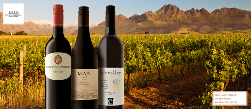 Các loại rượu vang Pinotage nổi tiếng của Nam Phi