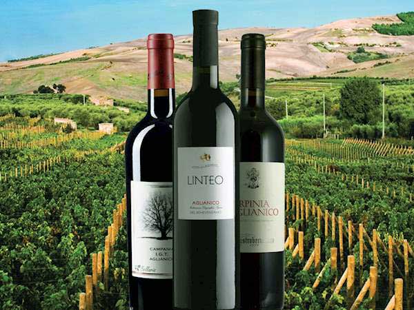 Các loại rượu vang từ nho Aglianico từ miền nam nước Ý 