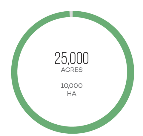 Diện tích đất trồng nho Aglianico Diện tích đất trồng nho Aglianico