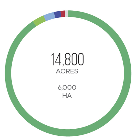 Diện tích đất trồng nho Nebbiolo trên thế giới