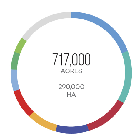 Diện tích trồng nho rượu Cabernet Sauvignon Diện tích trồng nho rượu Cabernet Sauvignon