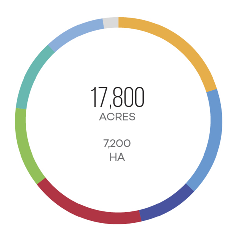 Diện tích trồng nho rượu Petit Verdot trên khắp thế giới Diện tích trồng nho rượu Petit Verdot trên khắp thế giới