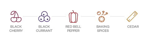 Hương vị chính của giống nho rượu Cabernet Sauvignon Hương vị chính của giống nho rượu Cabernet Sauvignon